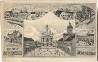 Oudenbosch, Institut St. Louis, Art Nouveau (vágott / cut)