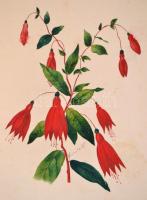 1888-1892 Emlékkönyv. A barátság tükre. Emléklapok barátoktól és barátnőktől. Szerk.: Belicza József...