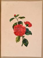 1888-1892 Emlékkönyv. A barátság tükre. Emléklapok barátoktól és barátnőktől. Szerk.: Belicza József...