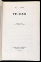 Kállai Ernő: Picasso. Bp.,1948,Új Idők Irodalmi Intézet Rt.(Singer és Wolfner),(Hungária-ny.), 86 p.+LXXX t. Kiadói félvászon-kötés, sérült gerinccel.