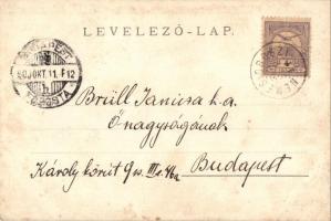 1900 Nemesoroszi, Kukucínov; kastély, kúria udvara, családi csoportkép / castle, villa backyard with...