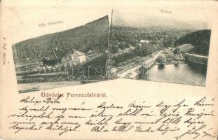1900 Ferencfalva, Valiug; Villa Veronika, Klause gát / villa, dam (EK)