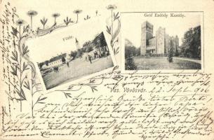 1906 Vasvörösvár, Rotenturm an der Pinka; Gróf Erdődy Gyula kastélya, Fő tér / Schloss, Hauptplatz / castle, main square. Art Nouveau, floral