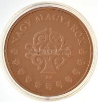 ifj. Szlávics László (1959-) 2011. "Nagy Magyarok / Semmelweis Ignác 1818-1865" aranyozott...