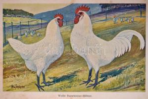 Alfred Beeck: Die Federviehzucht als Wirtschaftszweig und Liebhaberei. I. Band: Allgeimenes, Hühnerv...