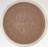 ifj. Szlávics László (1959-) 2011. "Nagy Magyarok / Deák Ferenc 1803-1876" aranyozott Cu e...