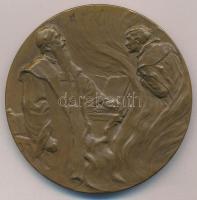 DN "Goethe" kétoldalas Br emlékérem. Szign.:RM (60mm) T:1-,2