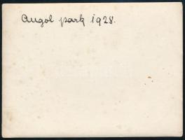 1928 Budapest, Angolpark hullámvasúttal, fotó, hátulján feliratozva, 9×12 cm