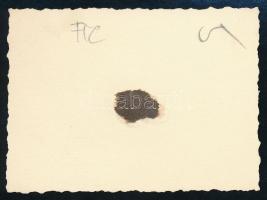 cca 1930 Bp., FTC-stadion, fotó, hátulján feliratozva, 6×8,5 cm