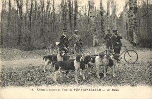 Chasse a Courre en Foret de Fontainebleau / French hunters in the forest of Fontainebleau, dogs, bicycle