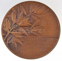 Telcs Ede (1872-1948) 1906. "gr. Andrássy Gyula szoboremlékének felavatása alkalmából" Br ...