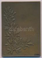 Franciaország DN "MAGISTRIS CAELATORIBUS GLORIA IN AETERNUM" kétoldalas Br plakett Szign.:...