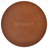 Ausztria DN "Goethe 1749-1832" egyoldalas Br plakett. Szign.: Arnold Hartig (75mm) T:1-