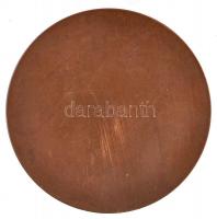 Murányi Gyula (1881-1920) DN "Lánczy Leó V.B.T.T." egyoldalas Br plakett (50mm) T:1-,2