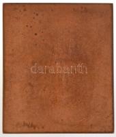 Ausztria 1915. "Ferenc József" Br plakett. Szign.: Franz Stiasny (65x56,5mm) T:1-,2
Austr...