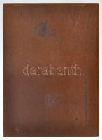 Zsákodi Csiszér János (1883-1953) "Kiss József 1843-1913 / Ne tapsoljatok! A taps a darab végét...