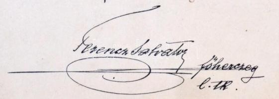 1916. "Vörös Kereszt II. Osztályú Díszjelvény hadidíszítménnyel" kitüntetés adományozó okl...