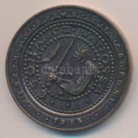 Peternák Gusztáv (1928-2003) 1985. ""Keszthelyi Éremgyűjtő Csoport / Csobánc vára" Br...