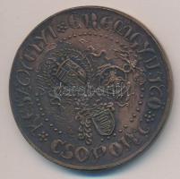 Lazarovszky László 1988. "Keszthelyi Éremgyűjtő Csoport / Somlóvára" Br emlékérem (50mm) T...