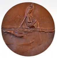 Gáti Gábor (1937- ) 1977. "Ady 1877-1919 / 'Szállani, Szállani, Szállani Egyre" Br pl...