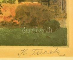 Karl Tucek (1889-1952): Belvedere, színezett rézkarc, papír, jelzett, paszpartuban, üvegezett fa ker...