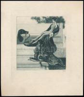 Franz von Bayros (1866-1924): Erotikus ex libris. Heliogravúr, papír, jelzés nélkül, 12×9 cm.