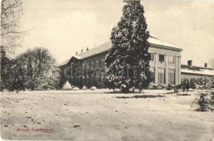 Acsád, Szegedy kastély télen. Carl Otto Hayd kiadása (EK)