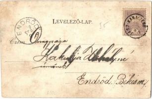 1900 Jászkarajenő, Római katolikus templom, Református templom, Iskola, utcakép. Art Nouveau, floral...