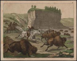 cca 1843 Bölényvadászat a prérin, színezett metszet, 18×23 cm