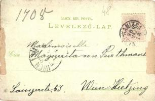 1898 Nagykanizsa, Fő utca, Eötvös tér, Szentháromság szobor, Fő tér, szálloda, üzletek, Malátagyár é...