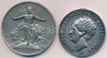 Pápai Állam 1900. "XIII. Leó" fém emlékérem. Szign.: Francesco Bianchi (43mm) + Hollandia ...