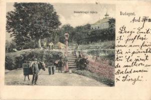 Budapest II. Remetehegyi tájkép, Etelka villa, szamár (EK)