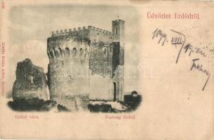 1899 Erdőd, Károlyierdőd, Ardud; vár, Schön Adolf kiadása / castle ruins (ázott / wet damage)