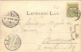 1903 Temesvár, Timisoara; XV. Országos Dalünnepély versenycsarnoka. Kossák József fényképész kiadása...