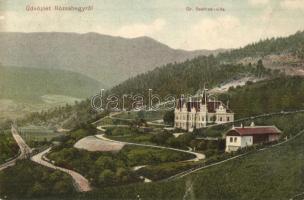 1906 Rózsahegy, Ruzomberok (Liptó); Dr. Seefried villa / villa (fa)