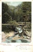 Tátra, Barlangliget, Höhlenhain, Tatranská Kotlina; Landoki híd vízeséssel. Feitzinger Ede 528. 1902/12. / bridge with waterfall (EK)