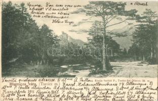 1900 Blatnica vára. Kiadja Sochán P. 31. sz. / Blatnicky hrad / castle (Rb)