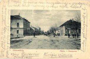 Temesrékas, Rékás, Recas; Fő utca. W. L. Bp. 57. / Hauptgasse / main street (Rb)