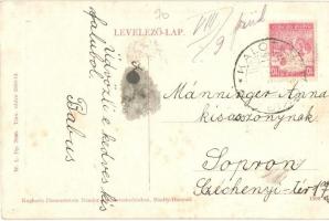 Bánffyhunyad, Huedin; Községháza, Stern Mór, Diamantstein Nándor üzlete és saját kiadása. W. L. Bp. ...