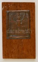 Sopron bronz plakett, jelzés nélkül, fa talapzaton, plakett, 7,5x6 cm, fa: 15x9 cm