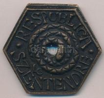 Ligeti Erika (1934-2004) 1979. "Állami csúszópénz - Respublica Szentendre" Br gúnyérem (37...