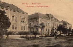 Beszterce, Bistritz, Bistrita; Forstdirektion / Erdőigazgatóság. No. 389. / Forestry directorate office (EK)