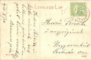 Balázsfalva, Blasendorf, Blaj; Strada Bisericii / Templom utca, Naftali Vilmos üzlete. W. L. 1864. /...