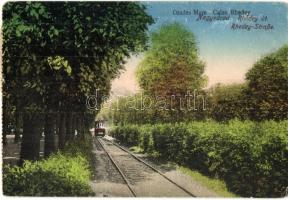 Nagyvárad, Oradea; Rhédey út, villamos / street, tram (EK)