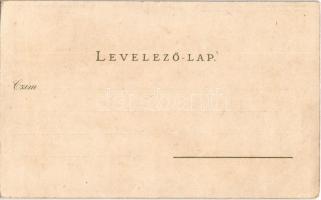 Brassó, Kronstadt, Brasov; Üdvözlet a Brassói-hegyekből (Barcasági-hegyek) ! A Keresztényhavas látké...