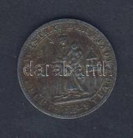 Német Birodalom/Weimari Köztársaság/Deutsch-Eylau 1919. 10Pf fém szükségpénz T:3