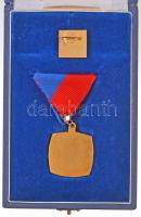 DN "A Horgászsportért" fém kitüntetés mellszalagon, jelvénnyel, eredeti dísztokban T:1-