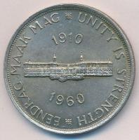 Dél-Afrika 1960. 5Sh Ag "50 éves a Dél-afrikai Unió" T:2
South Africa 1960. 5 Shilling Ag...