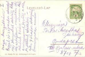 Lugos, Lugoj; Vármegyeház, piac árusokkal. W.L. (?) 332. Kiadja M. kir. dohánynagyáruda / county hal...