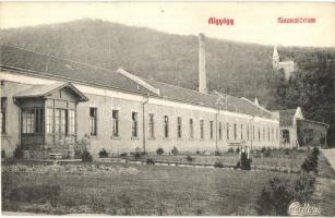 Algyógy, Geoagiu; Szanatórium. 1908 Adler fényirda / sanatorium